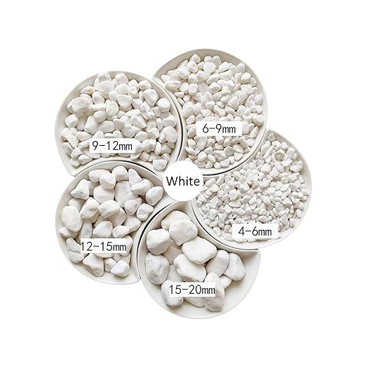 1LB Natural Gravel Pebbles, Cactus and Succulent Plants Pebbles, Small Decorative Polished Stones, White River Rocks for Potted Plants, Vases, Aquariums, Terrarium and Outdoor Gardening