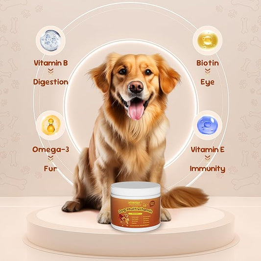 Multivitamin for Dogs - All-in-One Daily Supplement | Supports Joint, Heart, Skin, Digestion, Immune System & Liver Health (120 Chews Chicken)