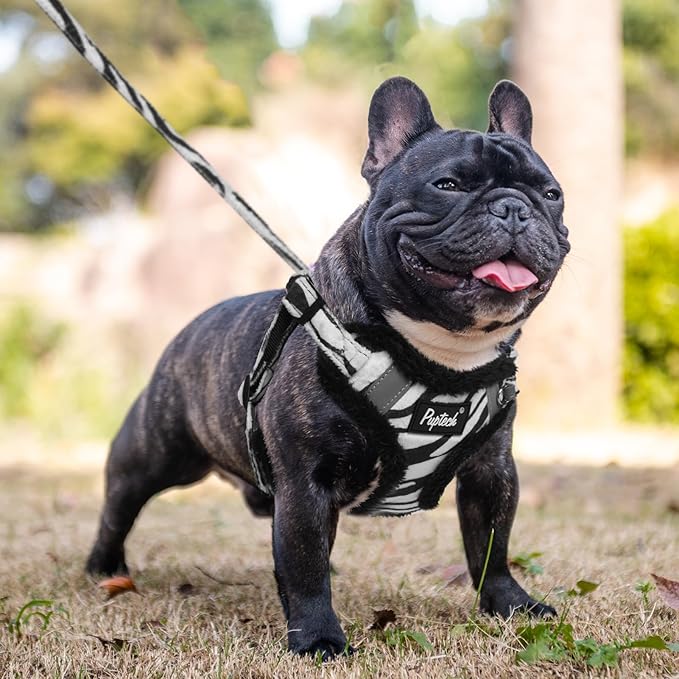 PUPTECK Dog Harness and Leash Set Medium Sized, Step in No Pull Adjustable Puppy Cat Harness Reflective Pet Vest