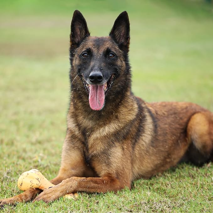 Tikaton Indestructible Dog Chew Toys for Aggressive Chewers, Chicken Flavor Durable Dog Teething Chew Toys Bones for Large/Medium/Small Puppies