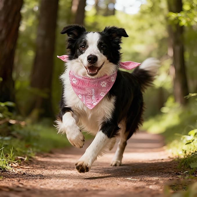 Personalized Dog Bandana Custom Dog Pet Name Scarf Customized Adjustable Triangle Scarf Birthday Style9