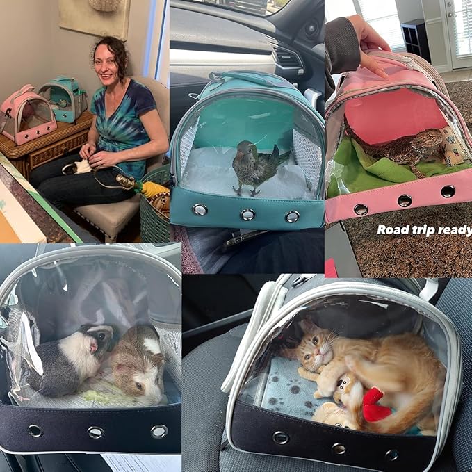 Guinea Pig Carrier Backpack, Clear Bubble Window Backpack for Guinea Pig, Bunny Rat Bird (Orange, Carrier)