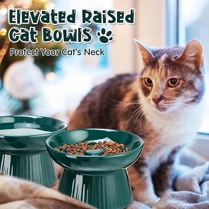 Tioncy 2 Pcs Raised Cat Slow Feeder Bowl Ceramic Elevated Cat Dog Food Bowl No Spill High Edge for Dry Wet Food and Water Easy to Clean, Dishwasher Safe(Dark Green)