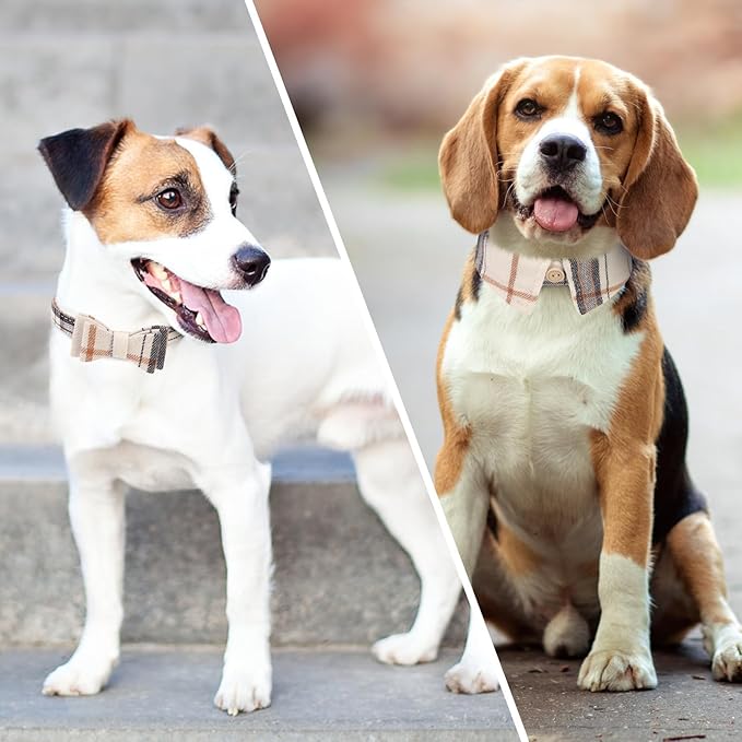 KOOLTAIL Small Dog Collar and Leash Set with Bowtie and Bells - Puppy Collar and Leash for Female/Male with Classic Plaid Matching Pattern, Soft Leather Leashes for Small Dogs Boys Girls, Shirt Plaid