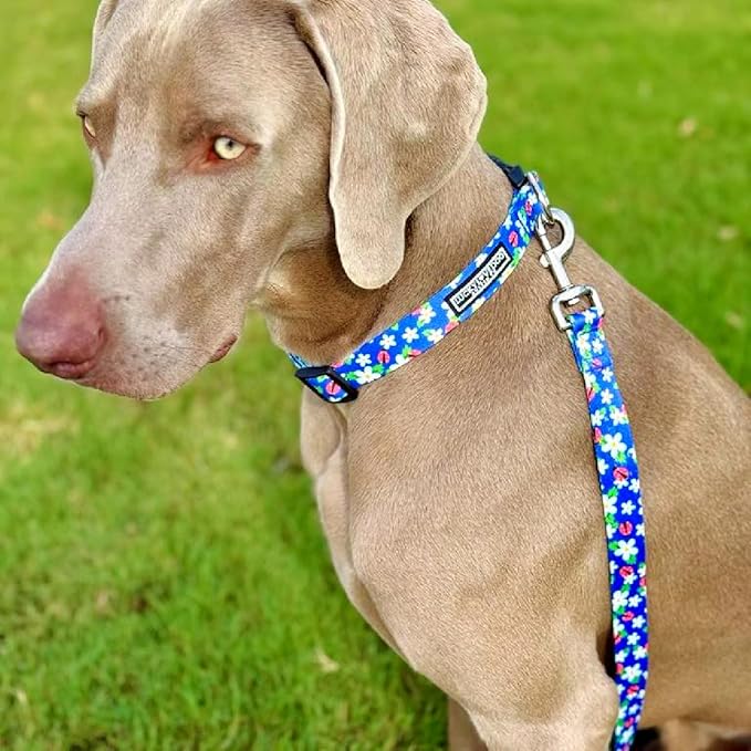 Lucky Love Dog - Easy Click Buckle Dog Collar with Leash Set Combo, Durable & Comfortable for Male & Female Dogs, Pet Collar for Small to Large Dogs, Secure Fit - Lilian Combo, Large