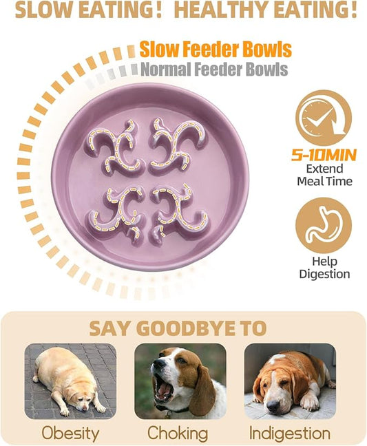 Slow Feeder Dog Bowl, 0.6 Cups Ceramic Dog Food Dish for Fast Eaters Small Breed, Puzzle Bowl for Small Dogs and Cats(Dark Purple)