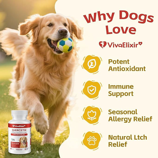 Quercetin & Bromelain Tablets for Dogs — for Skin Allergy, Atopic Dermatitis, Ear Infection Treatment & Joint Inflammation — Immune & Anti-Inflammatory Support — Vet-Formulated