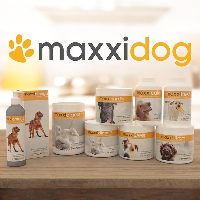 maxxipaws - maxxiflex+ Hip & Joint Supplement for Dogs with Glucosamine, Chondroitin, MSM & Collagen | Mobility, Flexibility & Discomfort Support | Senior, Adult & All Breeds | 120 Tablets