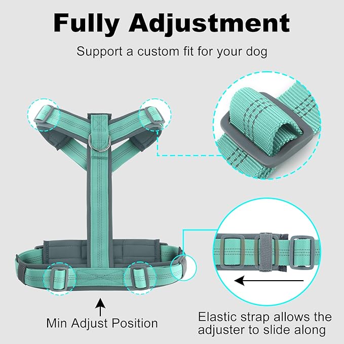 Plutus Pet No Pull Dog Harness, Adjustable Nylon Harness with Soft Padding, Reflective and Heavy Duty Dog Harness for Small, Medium, Large Dogs(Teal, XL)