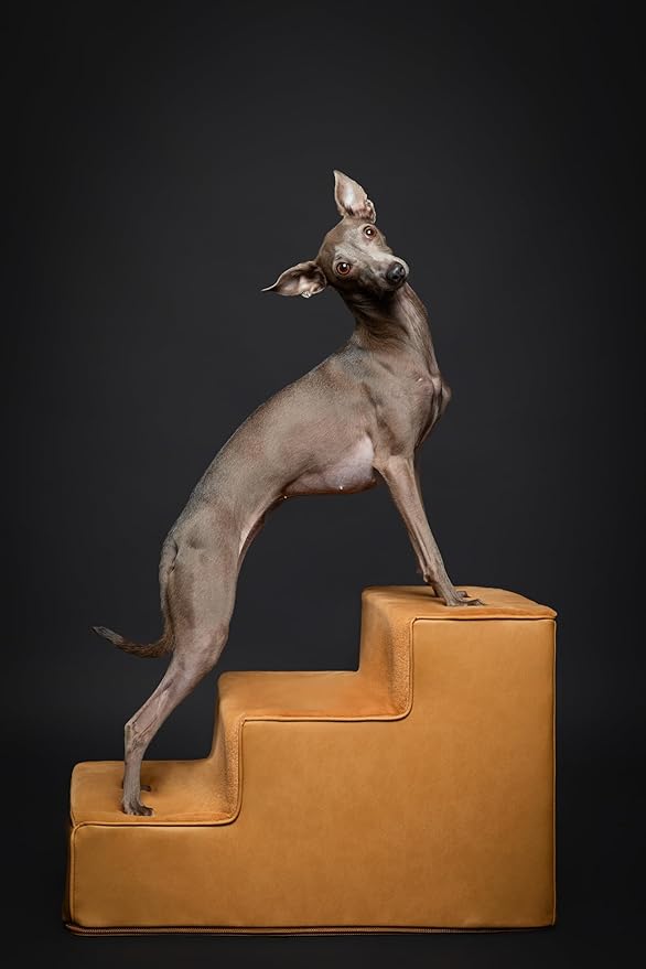 Noah & Paw Dog Stairs, Dog Ramp for Bed (16" Extra Wide) Pet Stairs for High Bed, Design to Fit Small and Large Breeds, Durable 3 Pet Steps for Couch (35 Foam Density) Leather Collection