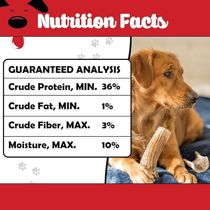 Elk Antlers for Dogs – 100% Naturally Shed, Grade A Split Antlers – Long-Lasting, Nutritious Dog Chews – Supports Dental Health & Satisfies Chewing Instincts – 2 Count