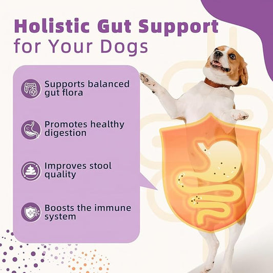 ZEBORA Probiotics for Dogs, Dog Probiotics for Digestive Health, with Pumpkin, Digestive Enzymes, Omega-3, Support Gut, Immune Health, Upset Stomach Relief, Occasional Diarrhea, 120 Freeze Dried Chews