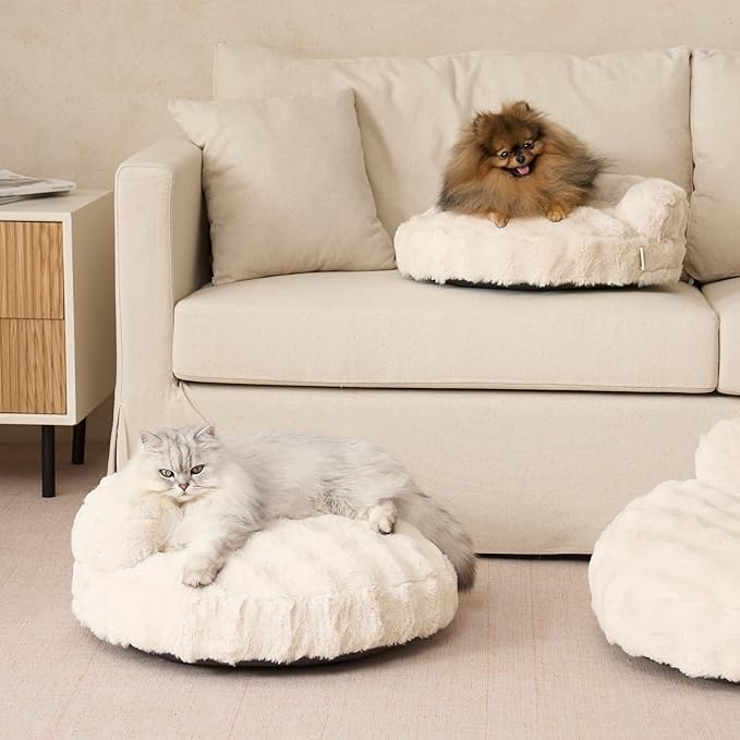 EHEYCIGA Extra Small Dog Bed and Cat Couch for Puppy and Kitten - Fluffy Faux Rabbit Fur Pet Sofa with Washable Removable Cover, Waterproof and Non-Slip, 20 Inch Cream