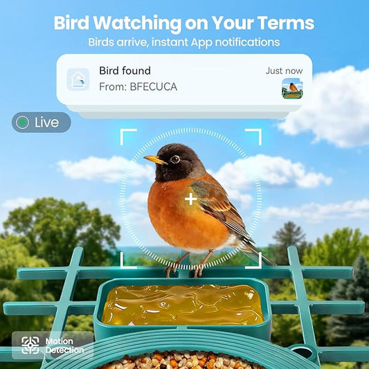 Smart Bird Feeder with Camera Solar Powered : 2K HD Live View, AI Bi rd Identification & Instant Alerts, Weatherproof Smart Camera Bird Houses for Outside Garden - Gifts for Women, Green