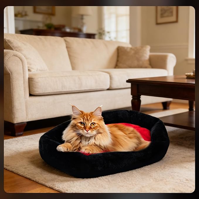 Cat Beds for Indoor Cats, Gothic Cat Beds Fits up to 40 lbs, Washble Coffin Dog Bed, Fluffy Pet Bed, Halloween House 32 * 22.4 Inch, Red & Black Large