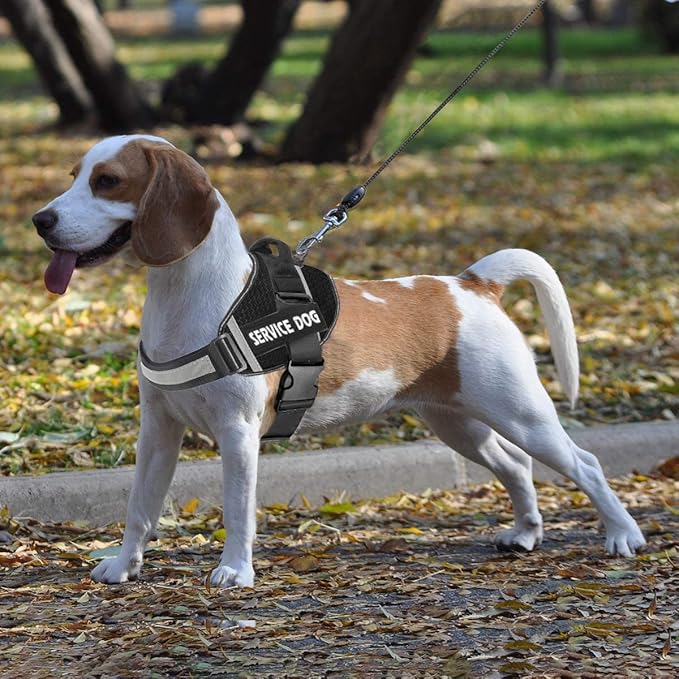 JSXD Dog Harness,No-Pull Service Dog Harness with Handle Adjustable Outdoor Pet Dog Vest 3M Reflective Nylon Material Vest for Breeds,Easy Control for Small Medium Large Dogs (XXL, Black)