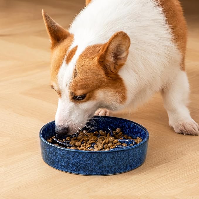 vancasso Ceramic Slow Feeder Dog Bowls, Puzzle Dog Food Bowls with Floral Maze, Anti -Slip Pet Food Dish for Medium Breed, 1.5 Cups, Blue
