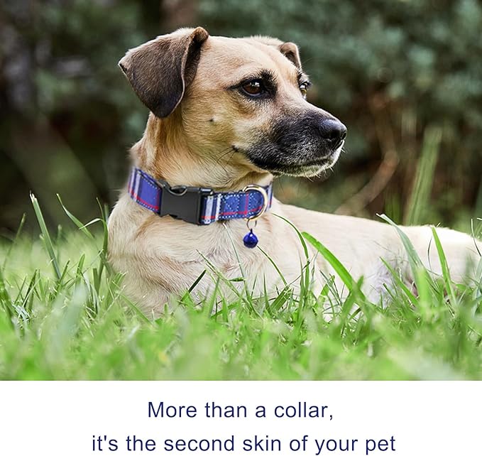 Cute Plaid Dog Collar with Safety Buckle - Adjustable and Comfortable Dog Collars for Small Medium Large Dogs, Stylish Puppy Collar for Boy Girl Pets