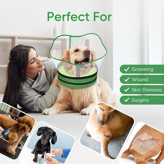 Sponge Dog Cone Collar, Dog Recovery Collar Alternative with Detachable High Clear Shield, Adjustable Soft Neck Cone for Small Medium Large Dogs, Stop Licking After Surgery (Kiwi,S)