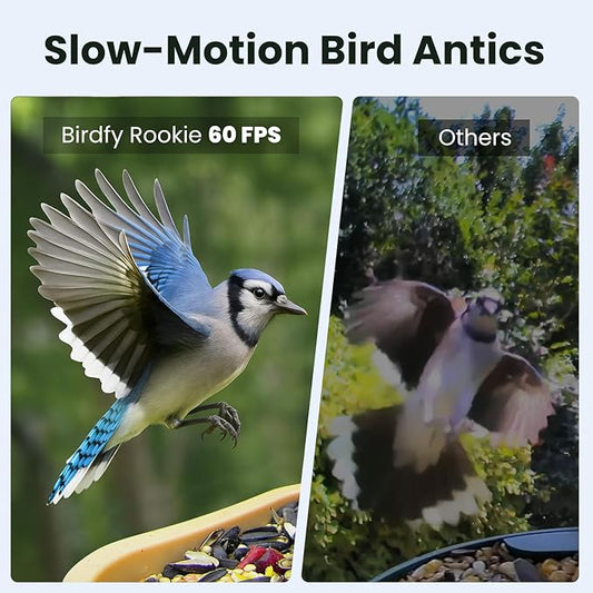 Birdfy Bird Feeder with Camera for Rookie - Solar Powered Outdoor Bird Feeder with Dual Night Vision, AI Recognition, Slow Motion & IP66 Waterproof, Ideal for BirdLovers (AI by Subscription)