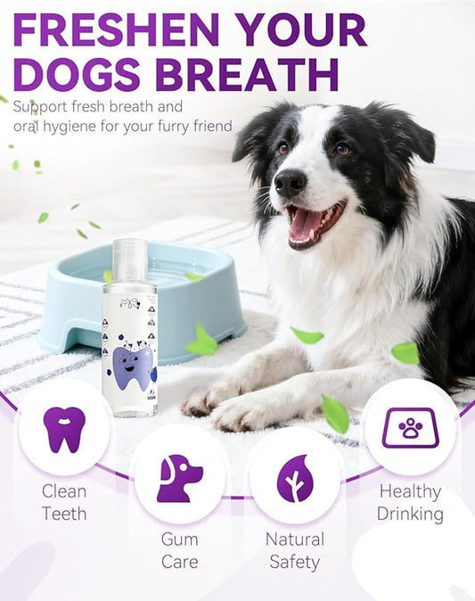Dental Water Additive, Specialized Dental Care Formula,Natural Flavorless Teeth Cleaning Mouthwash, Freshens Dog Breath & Promotes Healthy Gums, Easy Daily Use for All Pet (200ML)