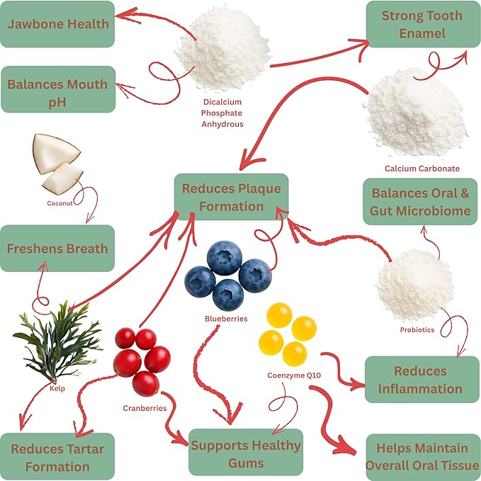 Kopo Dog Dental Powder - Dog Bad Breath Treatment for All Breed Size - Includes Probiotics for Dogs - Easy Way for Dog Teeth Cleaning - One of The Essential Pet Supplies with Beef Flavor