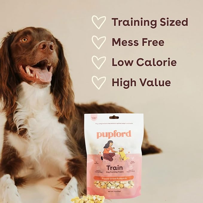 Pupford Freeze Dried Training Treats for Dogs & Puppies, One Ingredient Bites (Pumpkin, 2 oz)