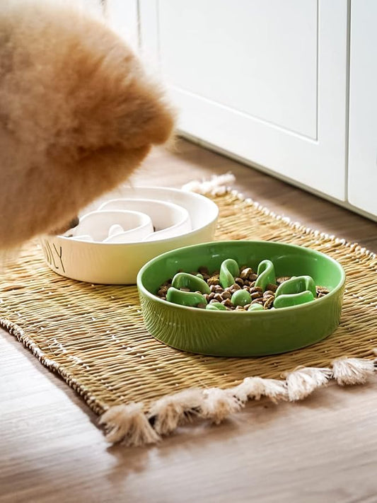 LE TAUCI Ceramic Slow Feeder Dog Bowls Small Breed, 0.6 Cups Dog Food Dish for Fast Eaters, Puzzle Bowl for Small Dogs and Cats,Clover Green