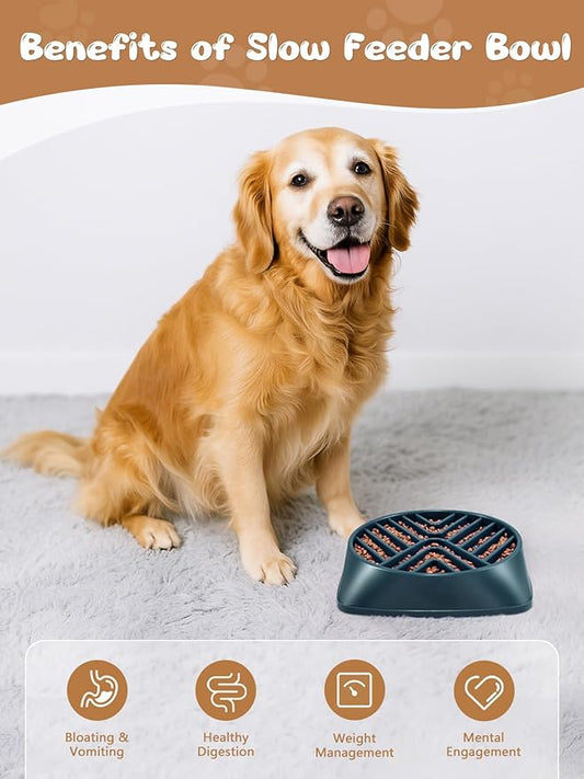 KASBAH Slow Feeder Dog Bowls Large Breed, Holds 5 Cups Wet or Dry Food for Large and Medium Dogs,Puzzle Maze for Fast Eaters,Square Base,Non-Slip, Made Without BPA,Helps Prevent Bloat & Aid Digestion