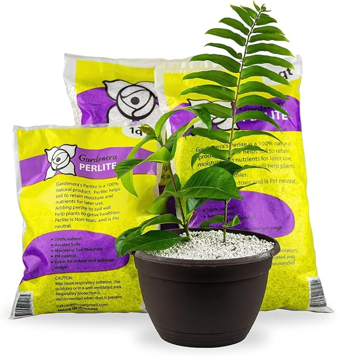 GARDENERA Premium Organic Perlite - Medium Grade - Horticultural Soil Amendment for Indoor & Outdoor Container Plants for Drainage Management and Enhanced Growth - 5 Quart