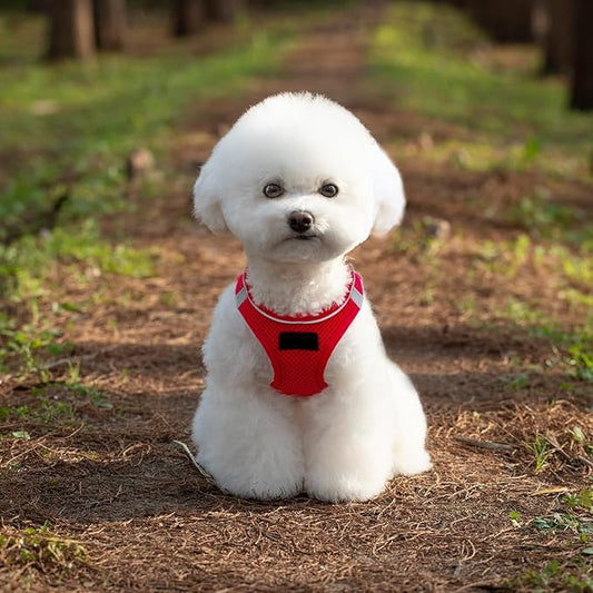 Dog Harness and Leash Set, No Pull Mesh Puppy Harness for Small Medium Sized Dogs, Pet Vest for Walking Running Training, Double D-Rings Reflective Strip