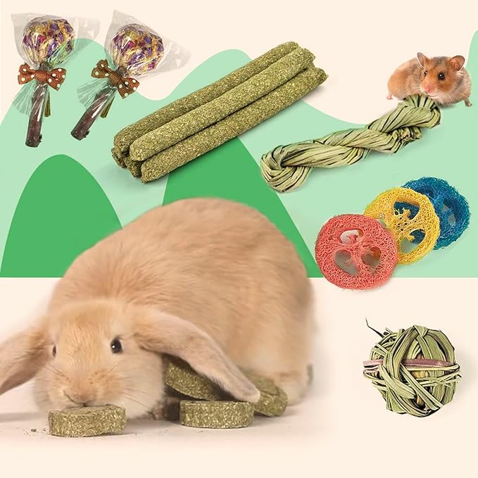 FIPASEN Rabbit Chew Toys for Teeth, 16PCS Natural Timothy Hay Chew Toy, Improve Dental Health for Bunny/Chinchilla/Guinea Pig/Hamsters/Holland Lop, Small Rodent Pet Molar Teeth Treats Toys