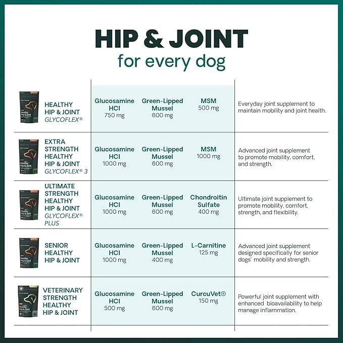 VetriScience Ultimate Strength Hip & Joint Supplement for Dogs, GlycoFlex Plus – MSM, Chondroitin & Green-Lipped Mussel Chews for Mobility, Flexibility, Comfort & Support, Duck Flavor, 120 Cnt