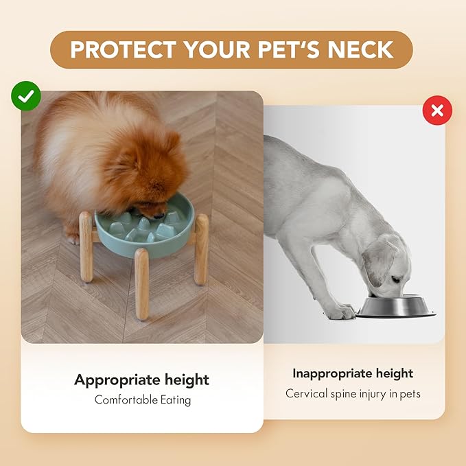 Ceramic 1.2 Cup Dog Raised Slow Feeder Set, Elevated Bowl with Wooden Stand for Medium and Small Dog, 7.3inch Slow Feeder Dish for Fast Easters(Light Green, Single Bowl+ Stand)