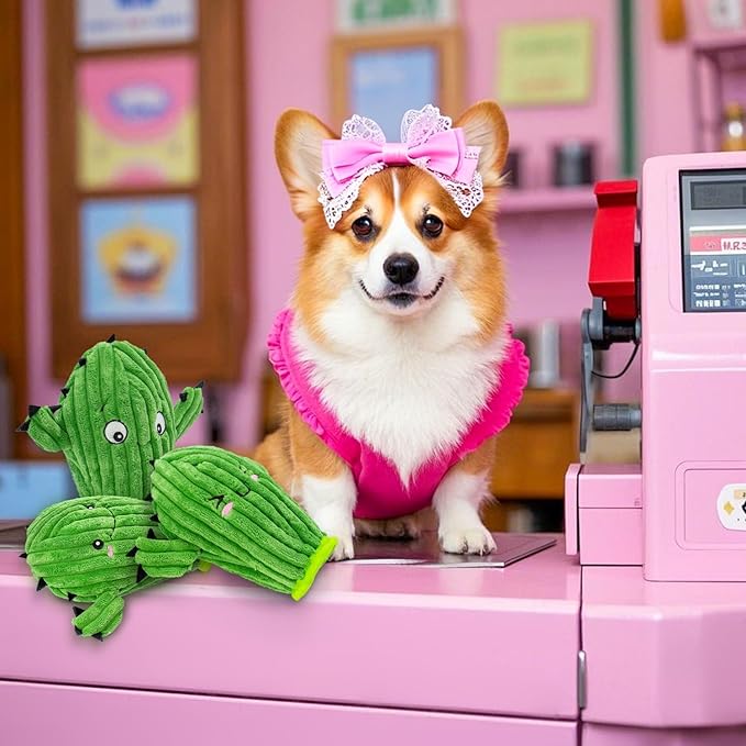 No Stuffing 3 Pack Squeaky Dog Toys- 2 in 1 Interactive Plush Dog Toy- Cactus Shaped Rip and Reveal Toy for Puppies-Indoor & Outdoor Play Training & Toss & Play