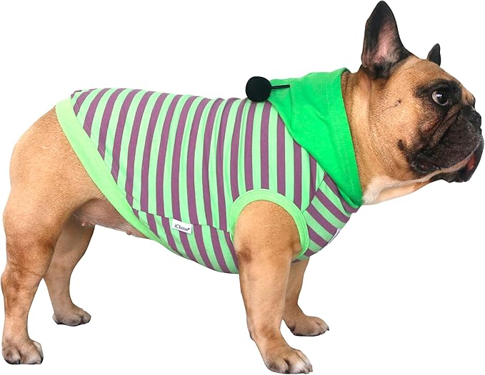 iChoue English Bulldog Bee Honeybee Bumblebee Caterpillar Insect Halloween Costumes Hoodies Sleeveless Clothes Outfits Cosplay Shirts for Dogs Pitbull American Bully - Green Purple, XXLarge