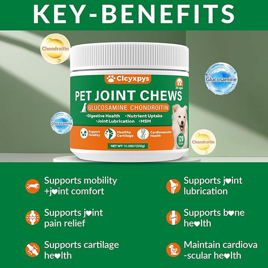 Glucosamine for Dogs Hip and Joint Supplement Chews,Mobility Support Supplement -Glucosamine chondroitin-MSM,Hip & Joint Support-Digestion,Probiotics-120 Chews