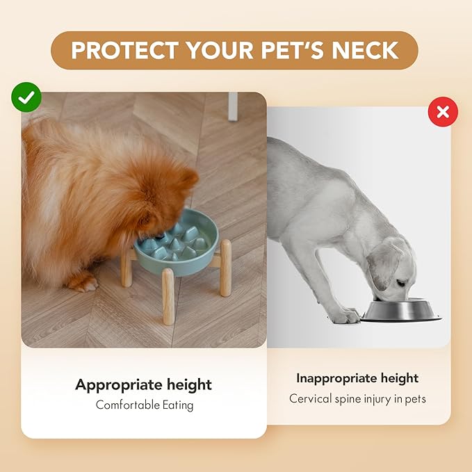 Ceramic 0.9 Cup Dog Raised Slow Feeder Set, Elevated Bowl with Wooden Stand for Small Dog, 6.1inch Pet Slow Feeder Dish for Fast Easters, Preventing Choking (Light Green, Single Bowl+ Stand)