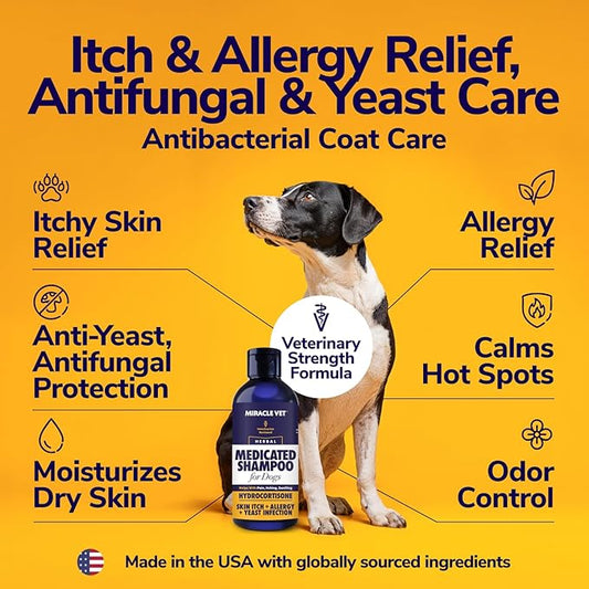 Miracle Vet Medicated Dog Shampoo for Itchy Skin Relief - Dog Allergy Relief, Yeast Infection, Hot Spot & Dry Skin Anti-Itch Treatment, Antifungal for Dogs - Hydrocortisone (16 oz)