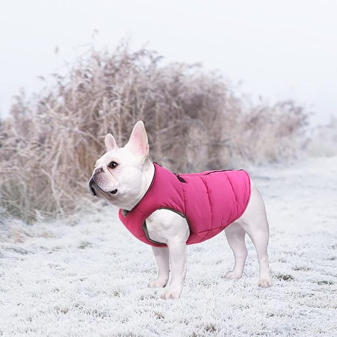 Geyecete Dog Bulldog Clothes Dog Cotton Padded Coat Thick Winter Warm Vest Waistcoat Cold Weather Jacket Clothing for French Bulldog Coat-Pink-S