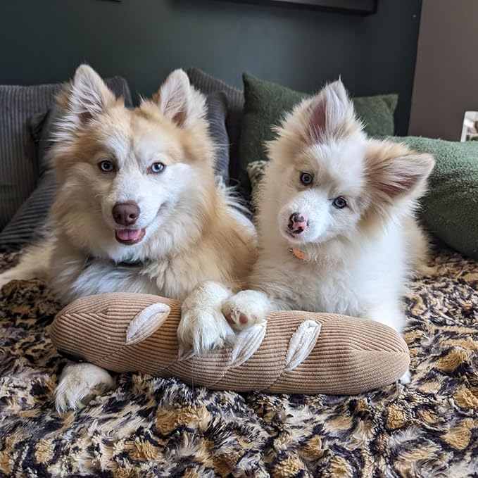 CHEWFFON Interactive Squeak Dog Toy, Dog Enrichment Puzzle Toys, Stress Release Game for Boredom, Snuffle Activity Foraging Instinct Training of Dogs