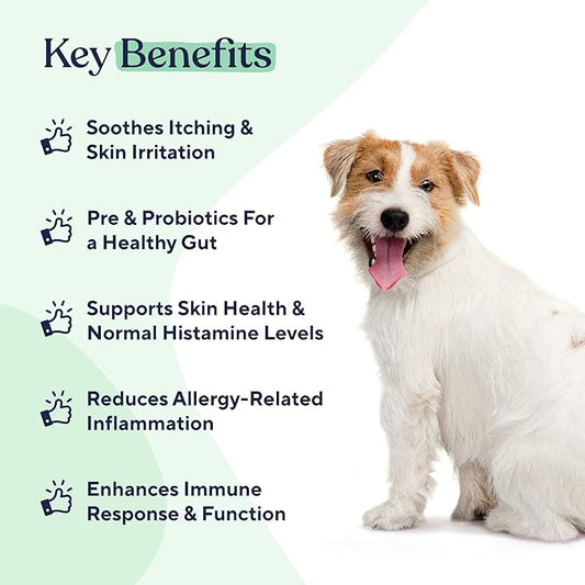 Pawfy Allergy & Immune | Anti-Itching | Immune & Gut Health | Natural Dog Supplement with Probiotic & Colostrum
