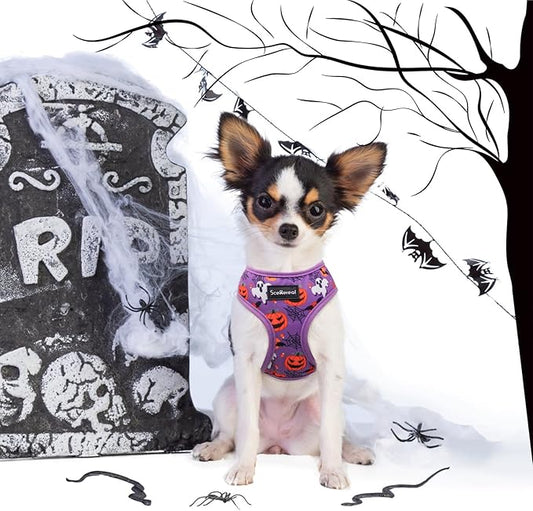 SCENEREAL Halloween Small Dog Harness Collar and Leash Set, Adjustable No Pull Pet Harnesses, No Chock Soft Mesh Step in Vest Costume for Doggie Puppy Dogs Cats Girl Boy Outdoor Walking