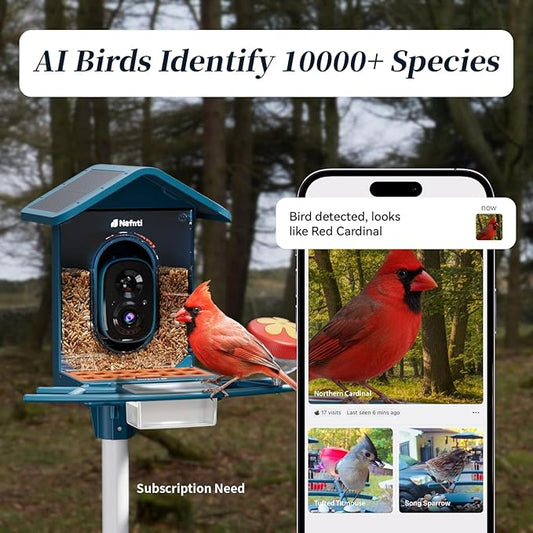Smart Bird Feeder with Camera, AI Identify Birds, 2.4GHz/5GHz, Solar Powered, Squirrel Proof, Instant Notifications, 2K Live View Camera Bird Feeder for Outdoor