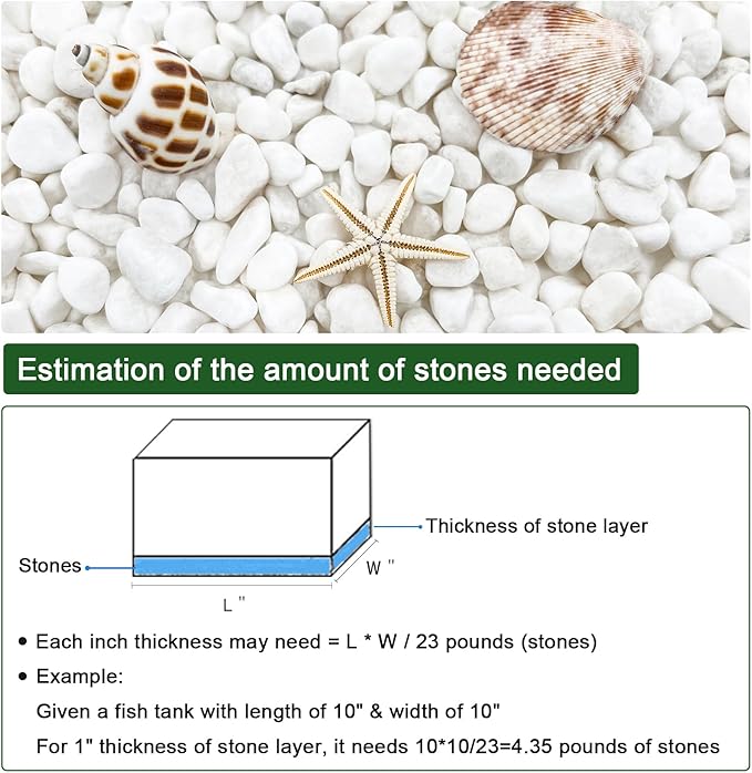 BXI 2.2 Lbs Small Aquarium Substrate Gravel Sand, Polished Smooth Fish Tank Gravel, Colorfast Uncoated White Natural Pebbles, Decorative Stones for Vase Fillers, Fairy Garden, Potted Plants