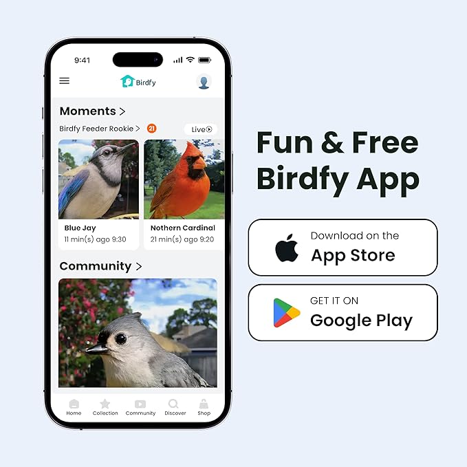 Birdfy Bird Feeder with Camera for Rookie - Solar Powered Outdoor Bird Feeder with Dual Night Vision, AI Recognition, Slow Motion & IP66 Waterproof, Ideal for BirdLovers (AI by Subscription)