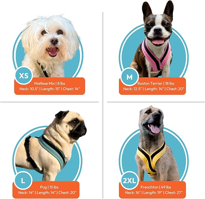 Gooby Comfort X One Dog Harness - Head-in Dog Harness for Small & Medium Sized Dogs - Escape-Free & Choke Free - Breathable Mesh, Shock Absorbing, Easy Snap & Swivel Buckles - Miami Yellow, 2X-Small