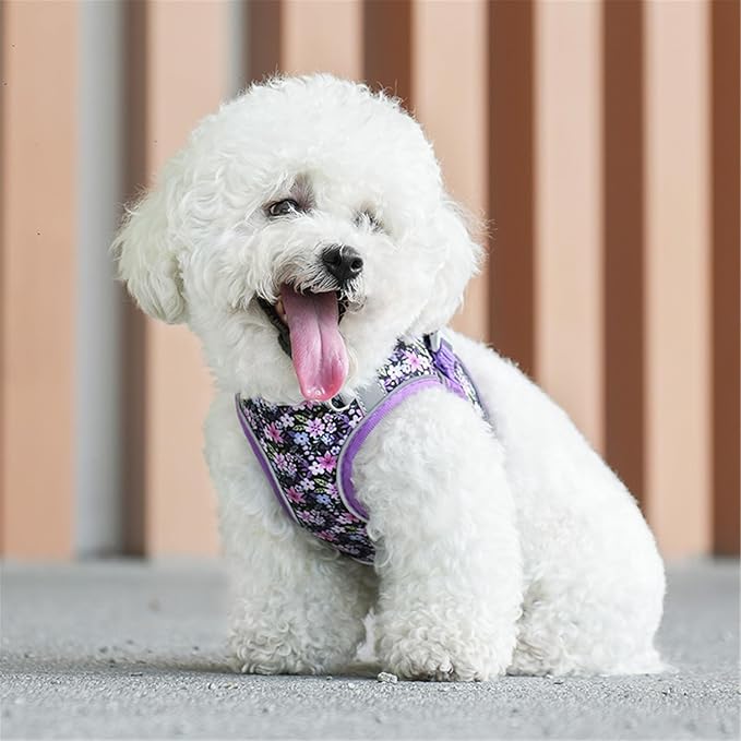 Step in Dog Harness No Pull Flower Adjustable Soft Mesh Padded Reflective Pet Vest Harness and Leash Set for Small Medium Dogs