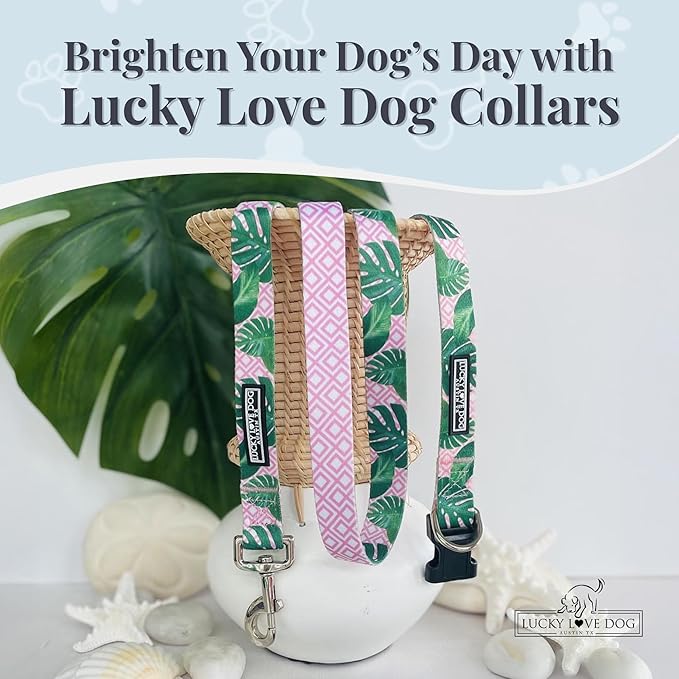 Lucky Love Dog, Tropical Matching Dog Collar & Leash Set, Soft & Comfy, Vivid Pink Color Collar and Leash for Female Male Dogs - (X-Small, Laguna Combo)