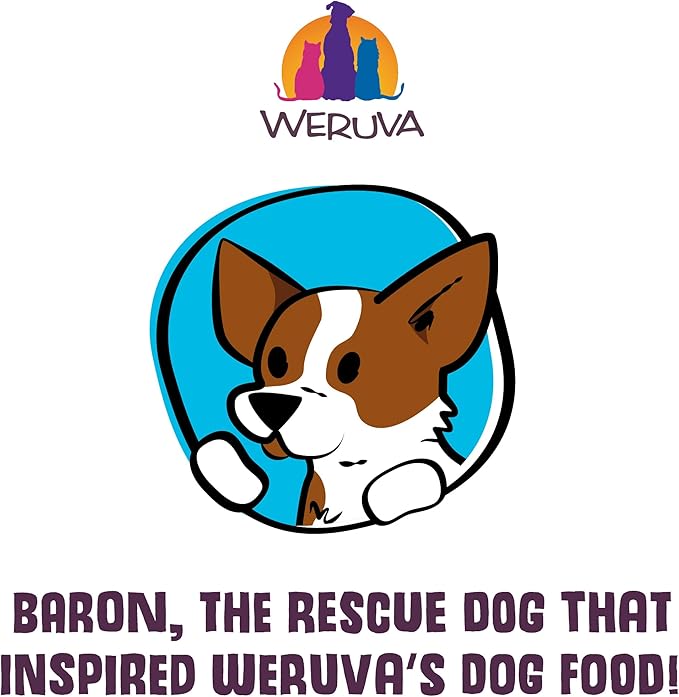 Weruva Classic Dog Food, Peking Ducken with Chicken Breast & Duck in Gravy, 14oz Can (Pack of 12)